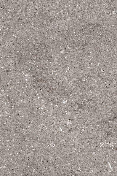 Limestone Fossil G6920Y40 야외용 포세린 타일 4