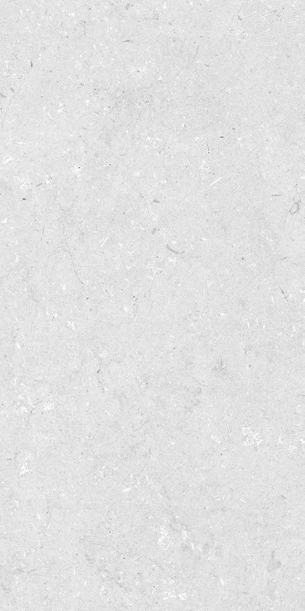 Anthracite G12620002KF 야외용 포세린 타일 2